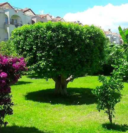 Apartment In Kervansaray