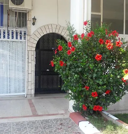 In Kervansaray *